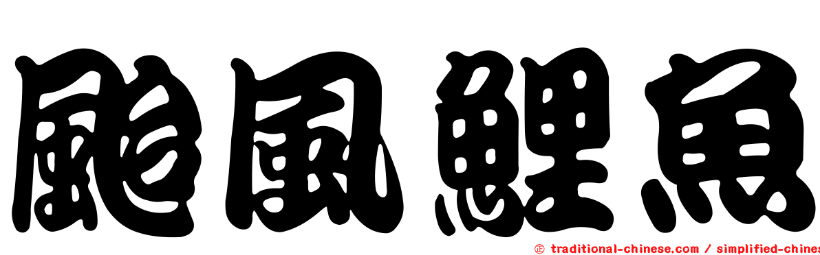颱風鯉魚