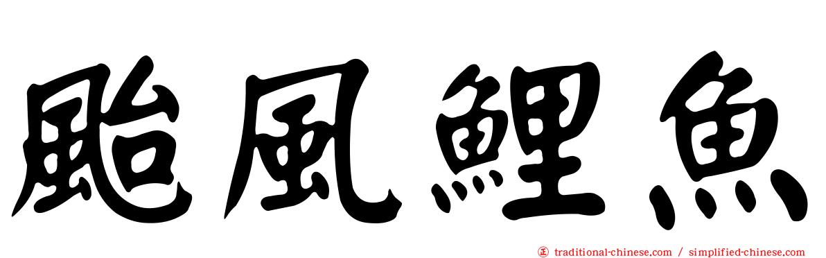 颱風鯉魚