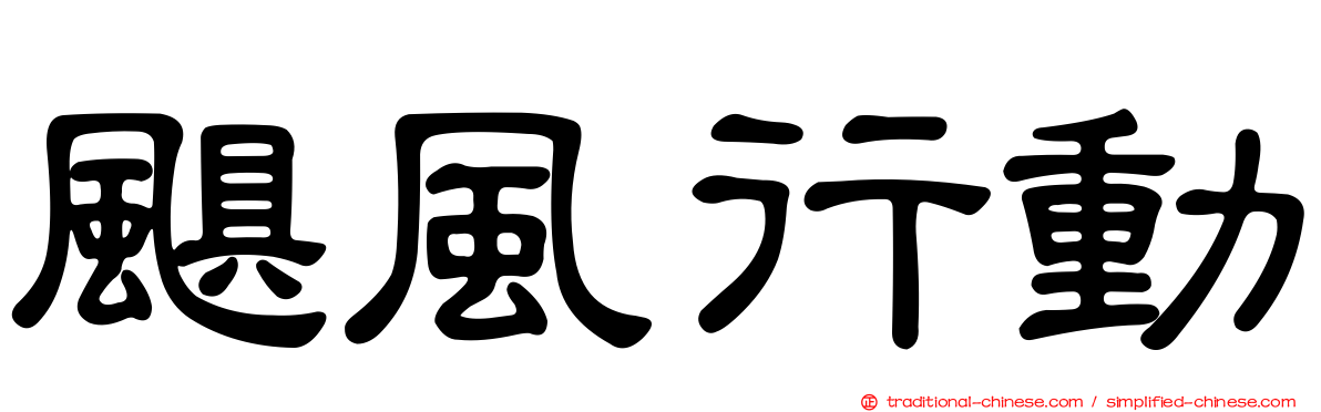 颶風行動