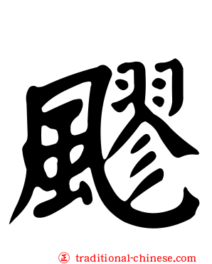 飂