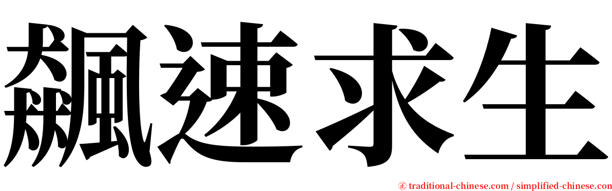 飆速求生 serif font
