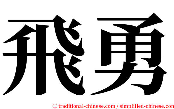 飛勇 serif font
