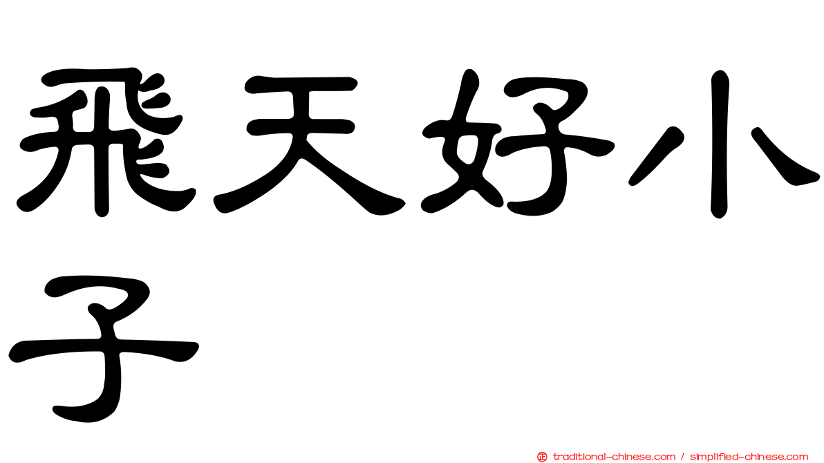 飛天好小子