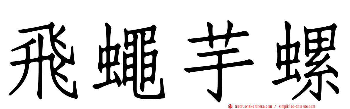 飛蠅芋螺