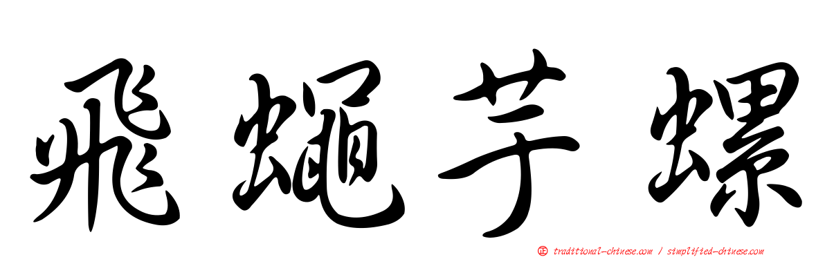 飛蠅芋螺
