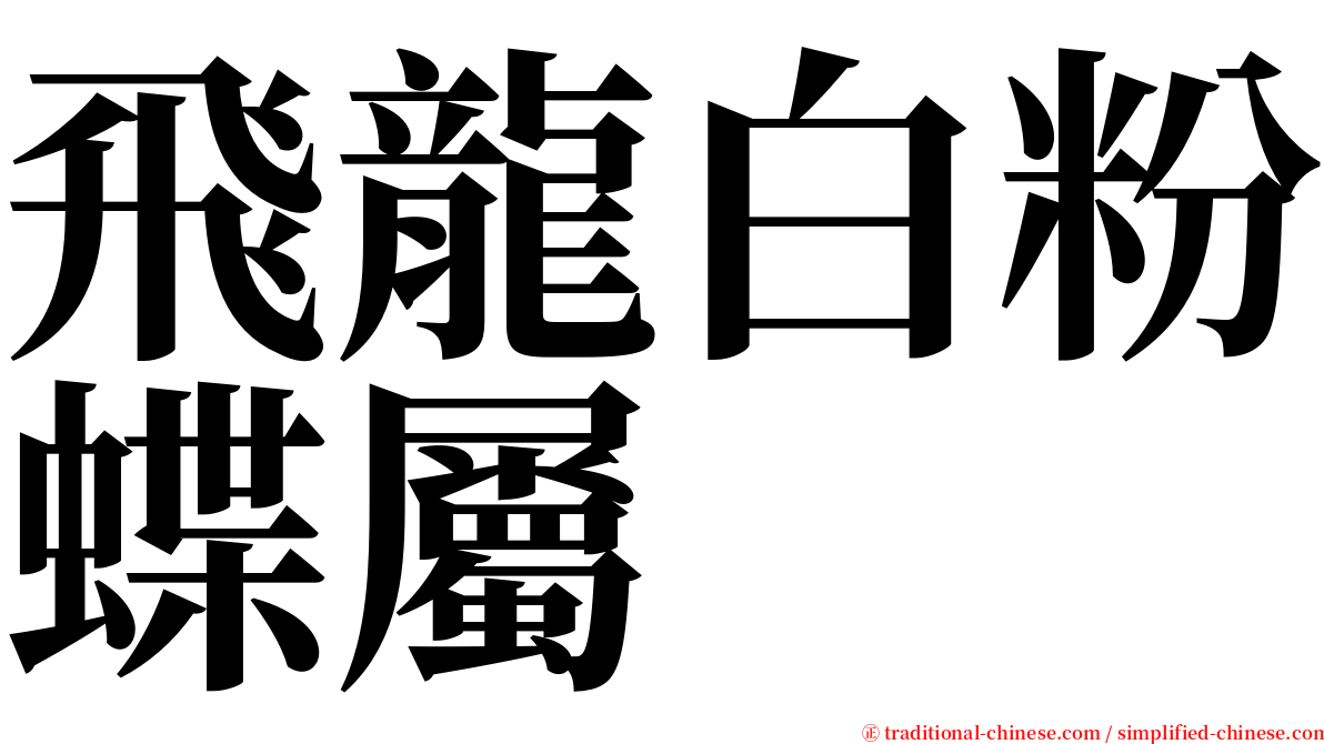 飛龍白粉蝶屬 serif font
