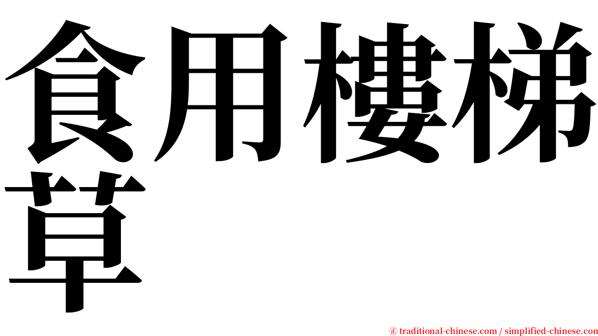 食用樓梯草 serif font