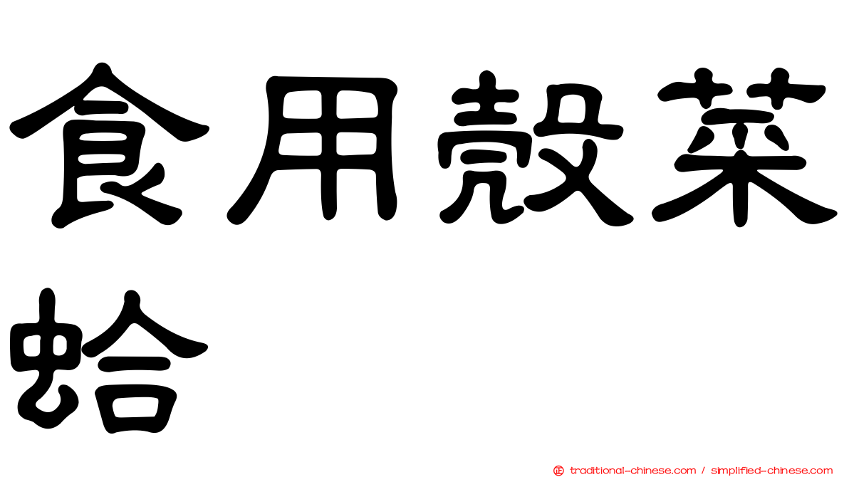 食用殼菜蛤