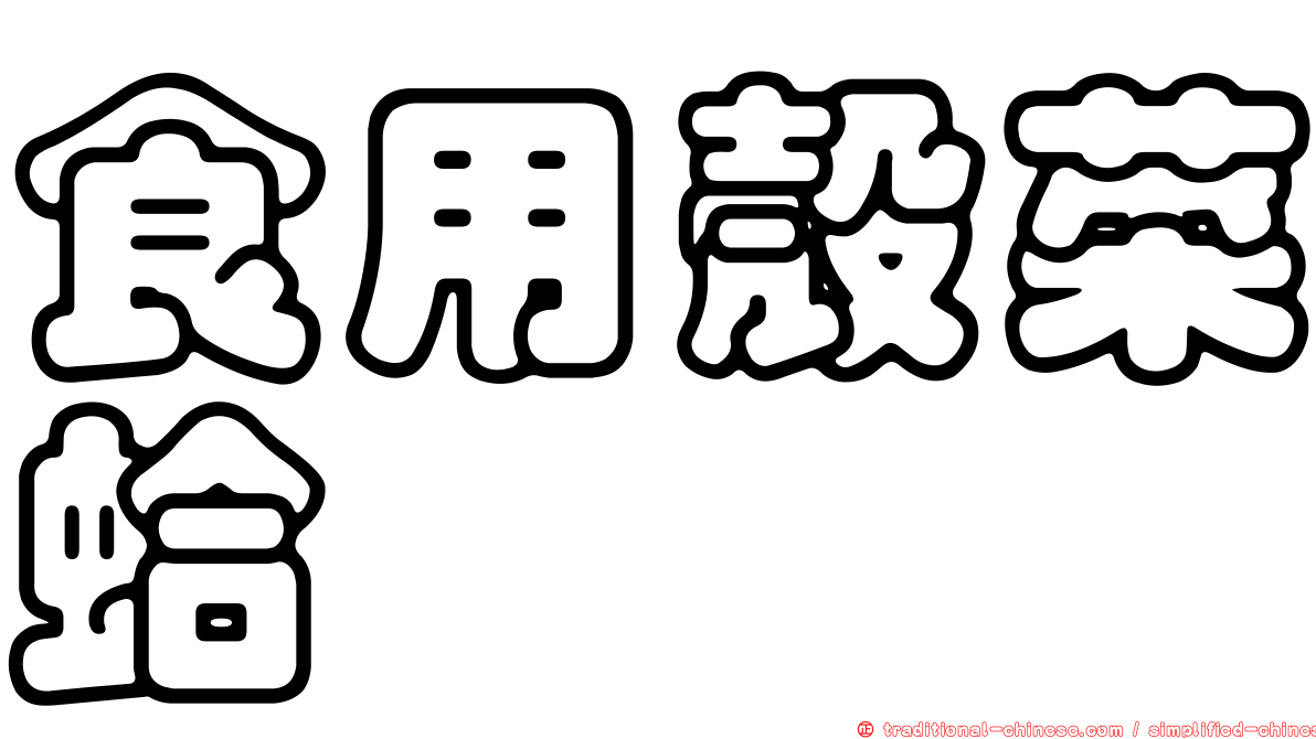 食用殼菜蛤