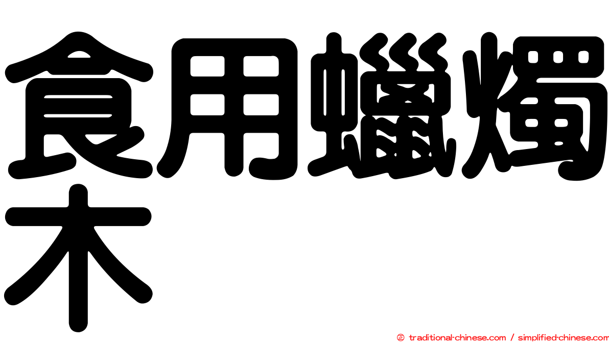 食用蠟燭木