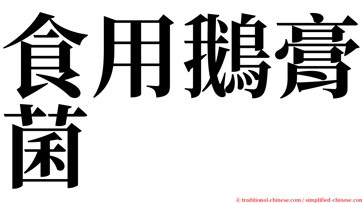 食用鵝膏菌 serif font
