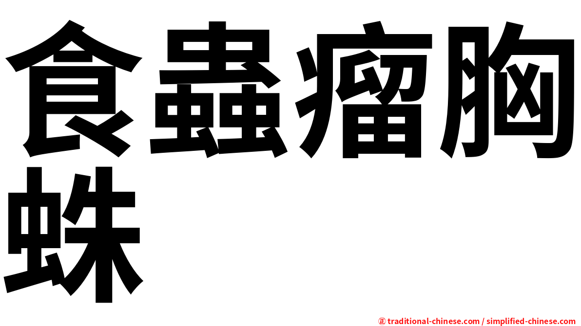 食蟲瘤胸蛛