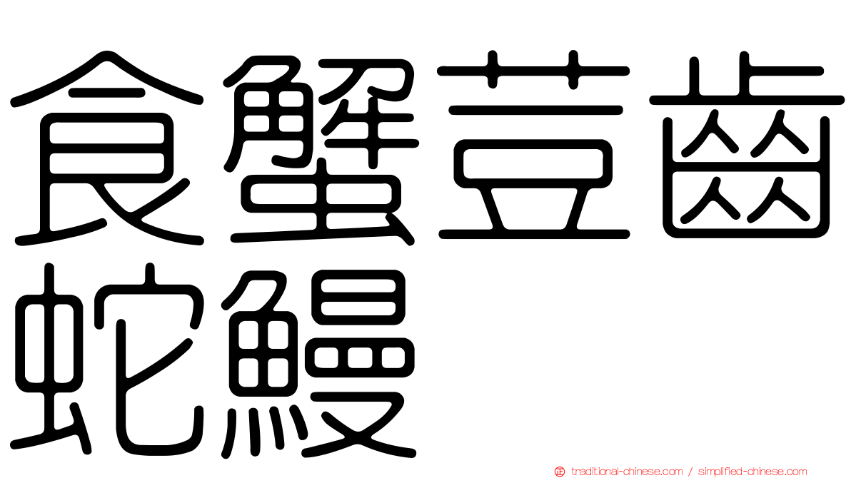 食蟹荳齒蛇鰻