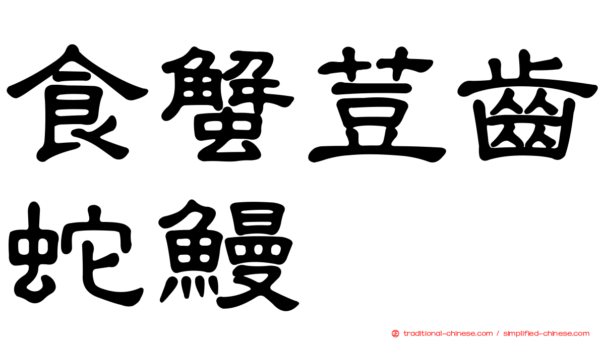 食蟹荳齒蛇鰻