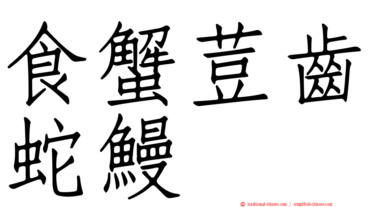 食蟹荳齒蛇鰻