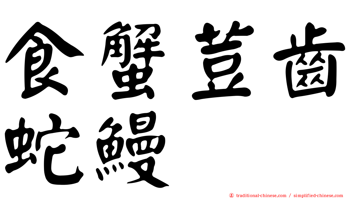 食蟹荳齒蛇鰻
