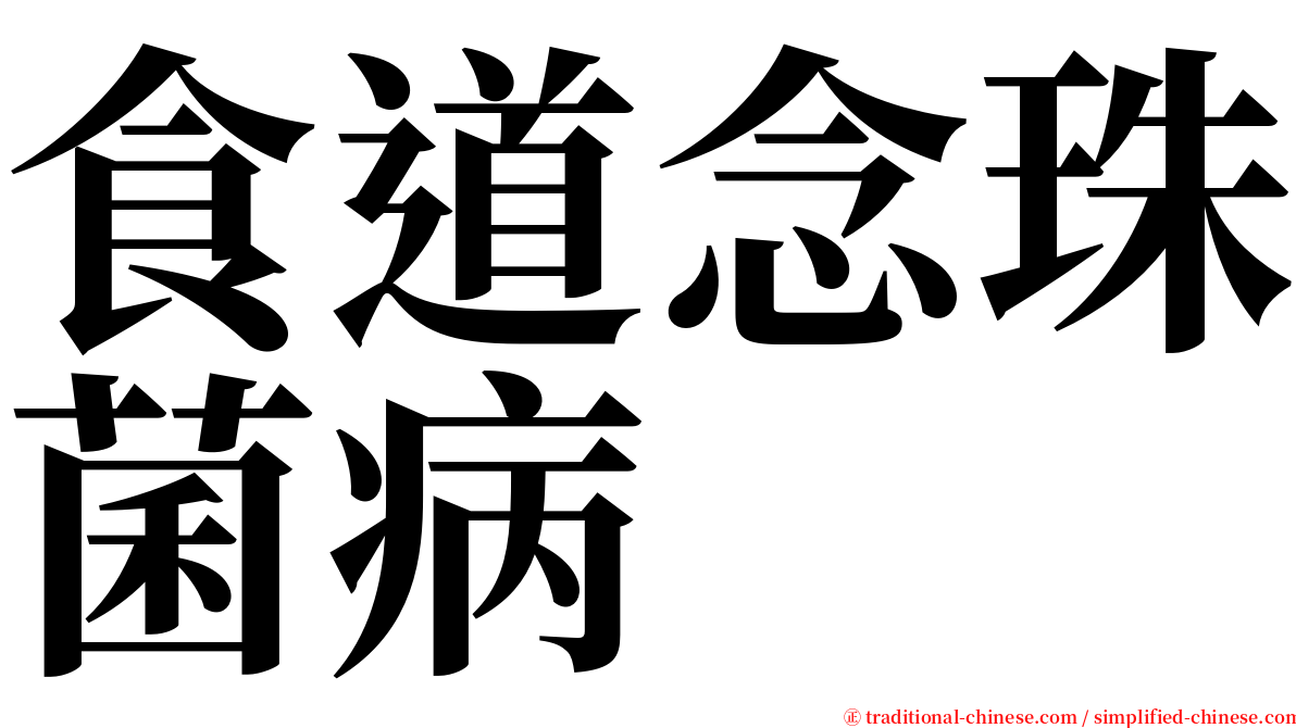 食道念珠菌病 serif font