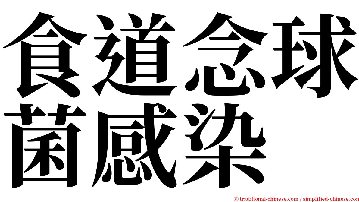 食道念球菌感染 serif font
