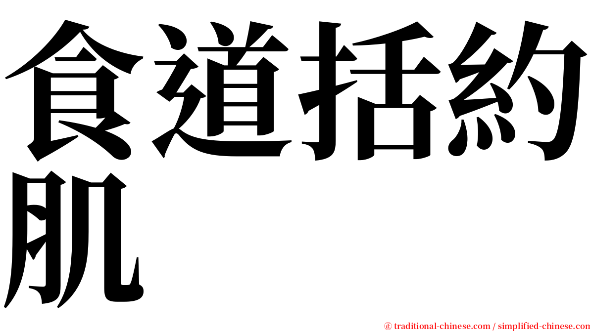 食道括約肌 serif font