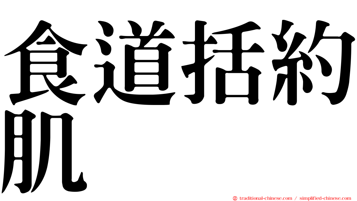 食道括約肌