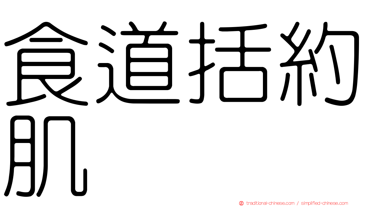 食道括約肌