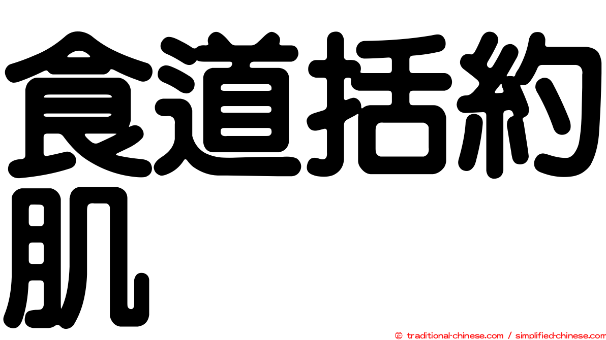 食道括約肌