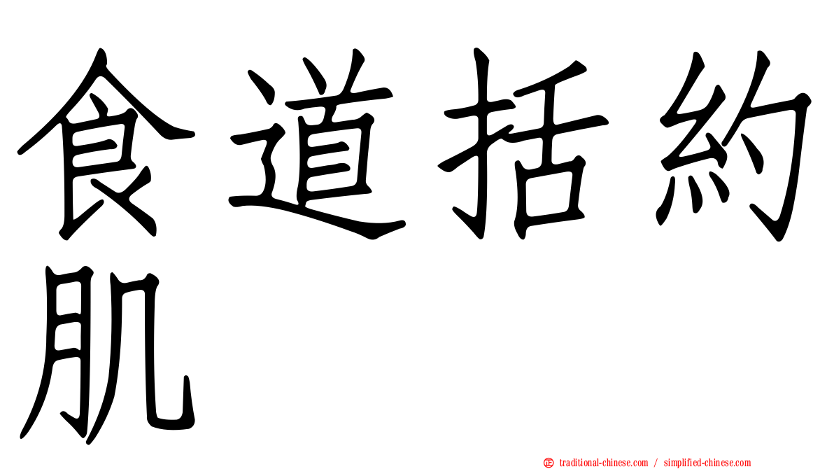 食道括約肌