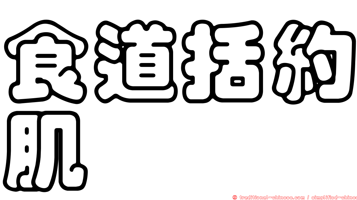 食道括約肌