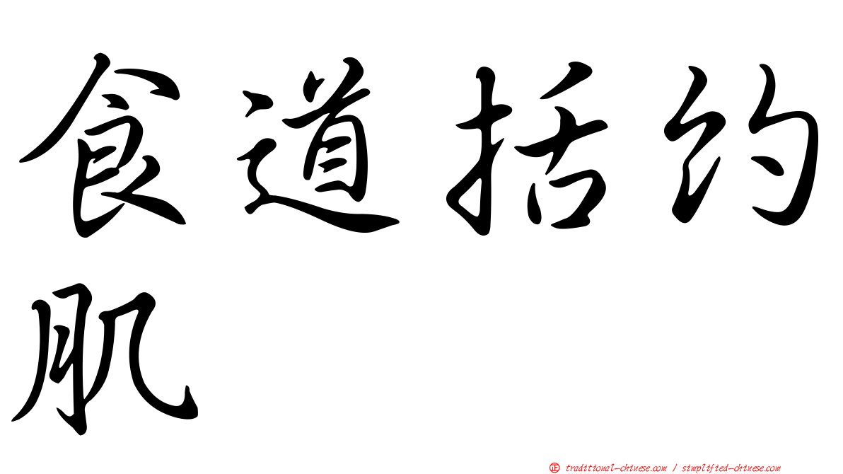 食道括約肌