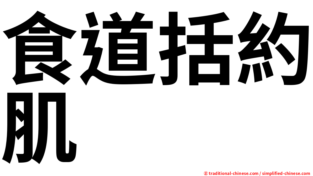 食道括約肌