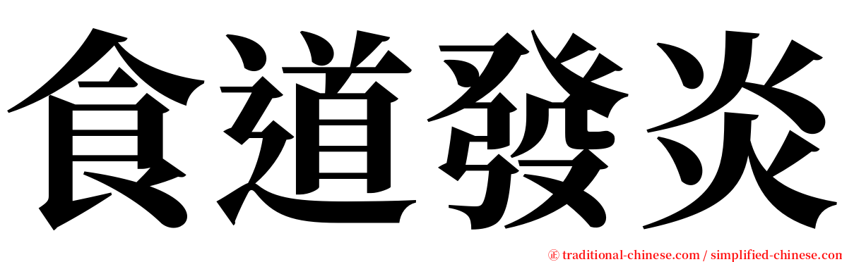 食道發炎 serif font