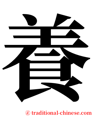 養 serif font