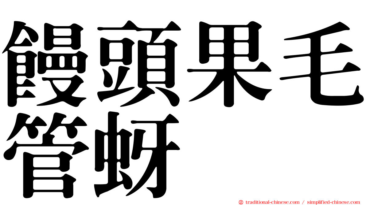 饅頭果毛管蚜