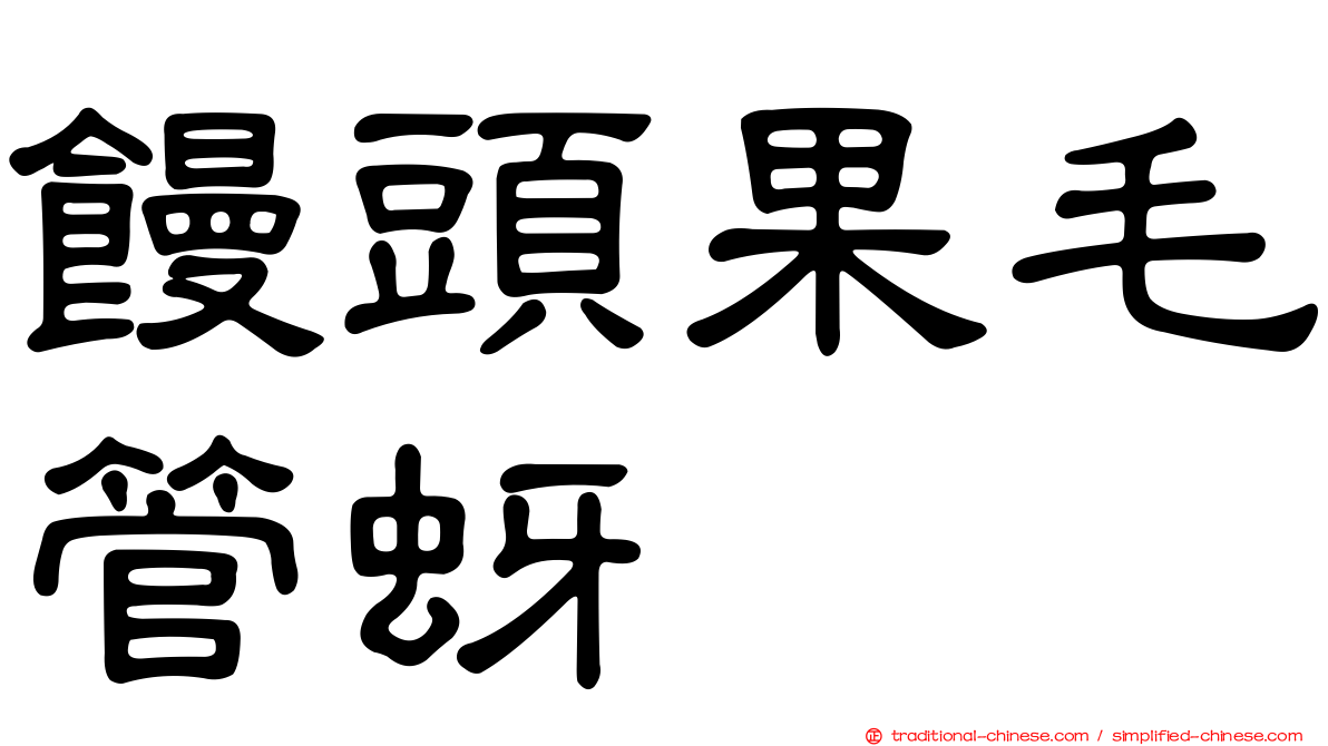 饅頭果毛管蚜
