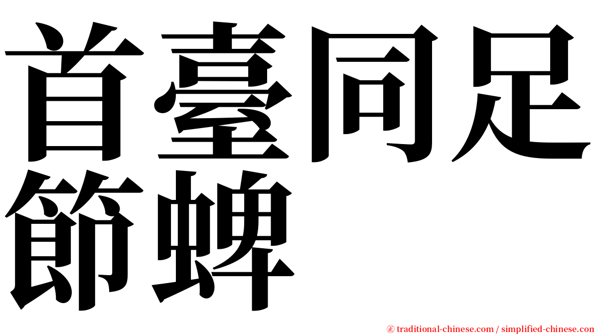 首臺同足節蜱 serif font