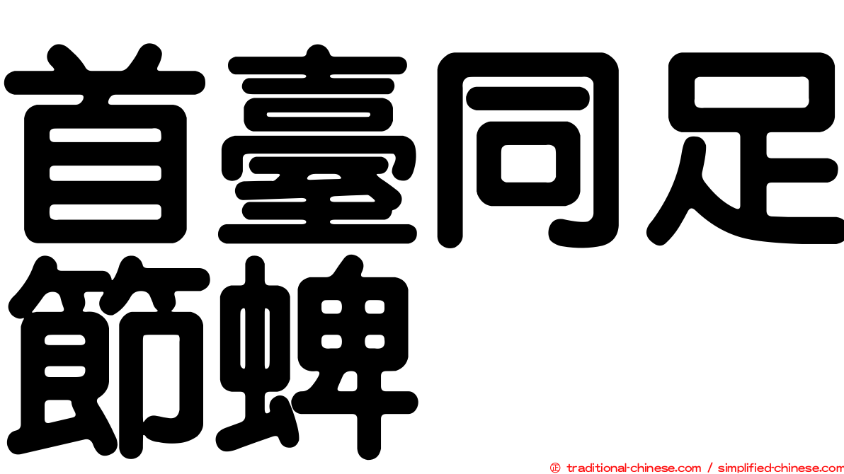 首臺同足節蜱