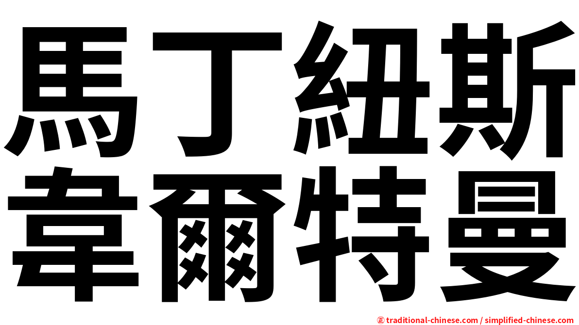 馬丁紐斯韋爾特曼