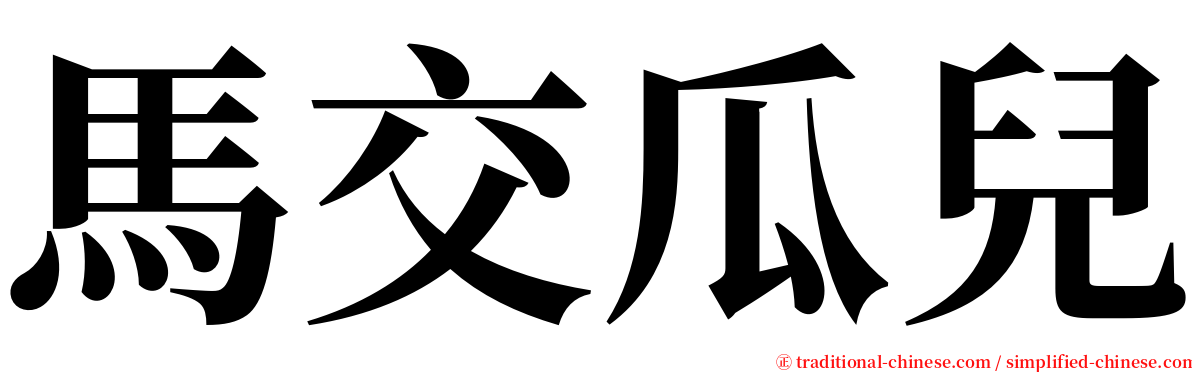 馬交瓜兒 serif font