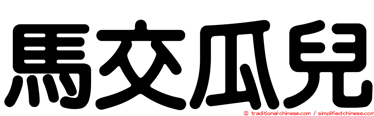 馬交瓜兒