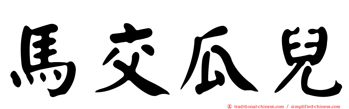 馬交瓜兒