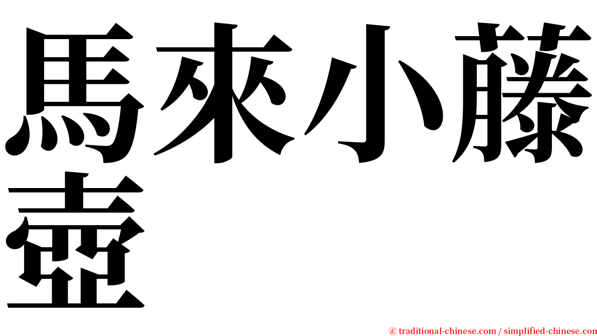 馬來小藤壺 serif font