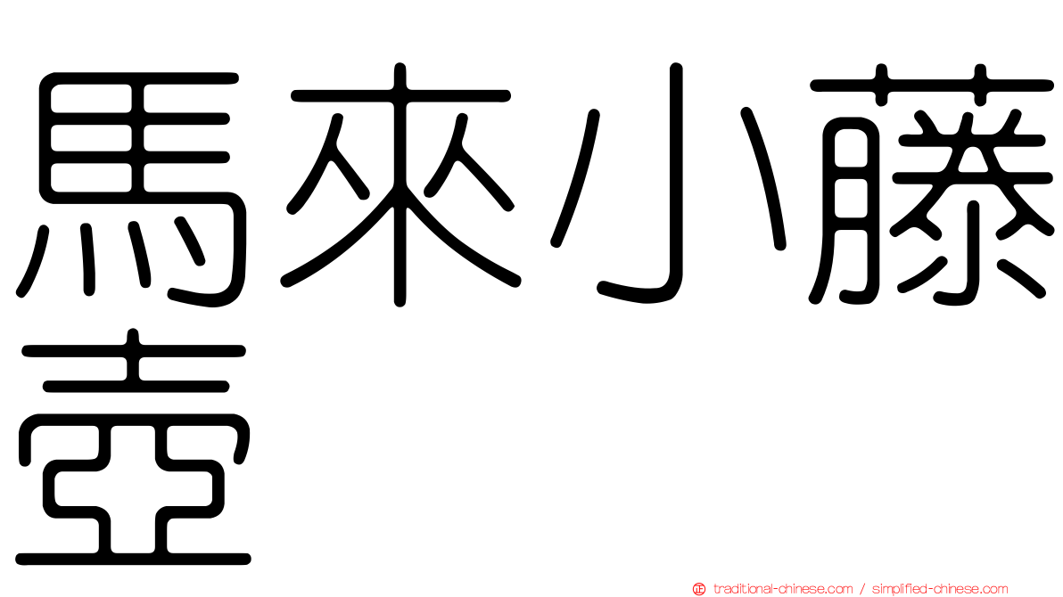 馬來小藤壺