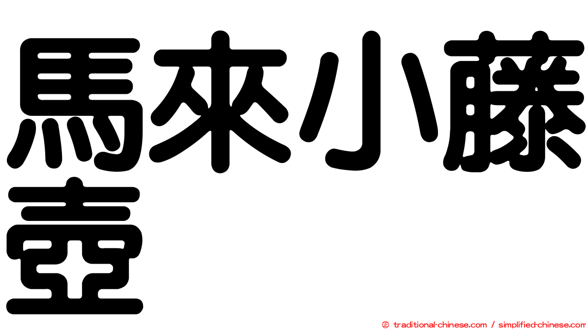 馬來小藤壺