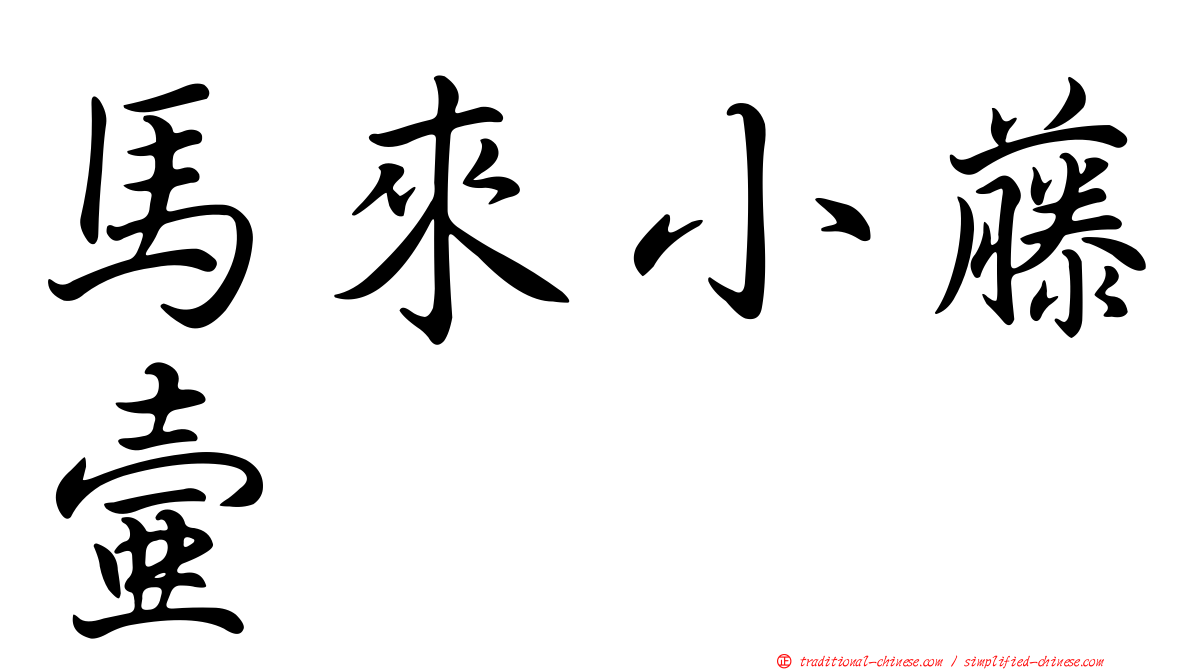 馬來小藤壺