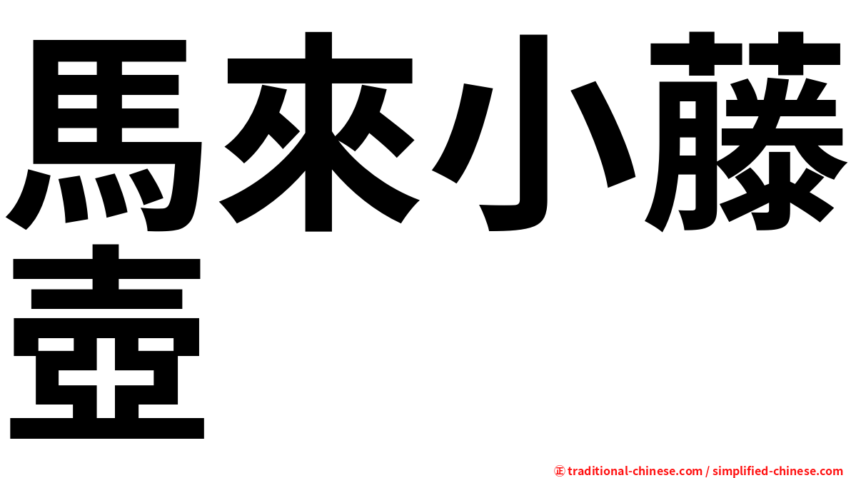 馬來小藤壺