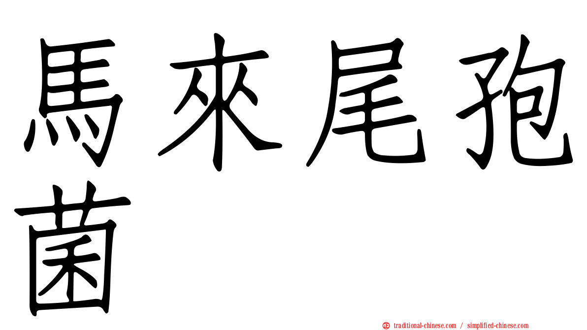 馬來尾孢菌