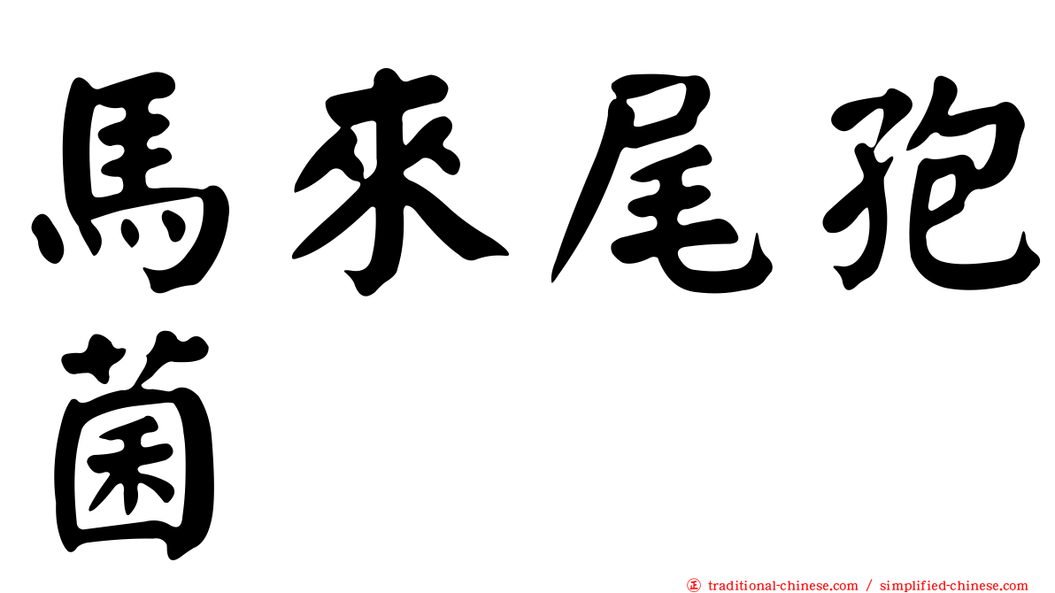 馬來尾孢菌
