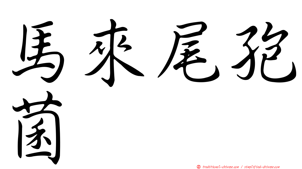 馬來尾孢菌