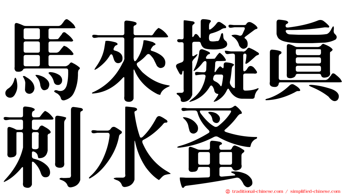 馬來擬真刺水蚤