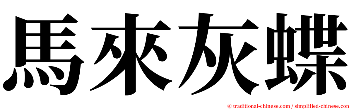 馬來灰蝶 serif font